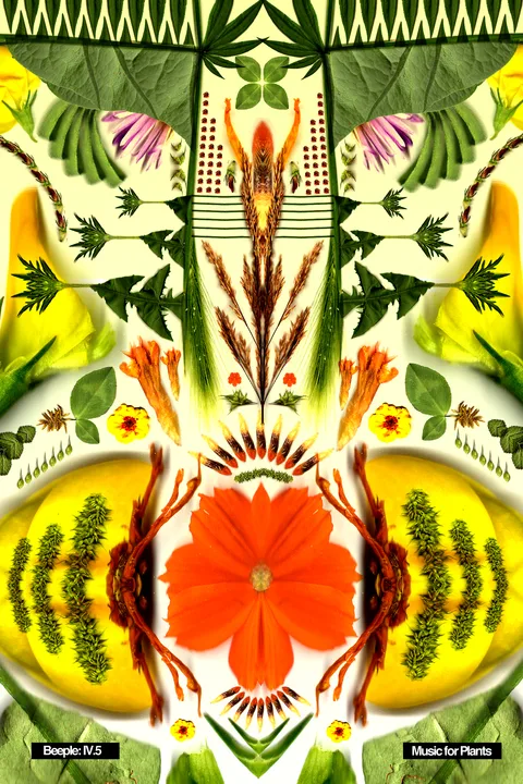 designs 3