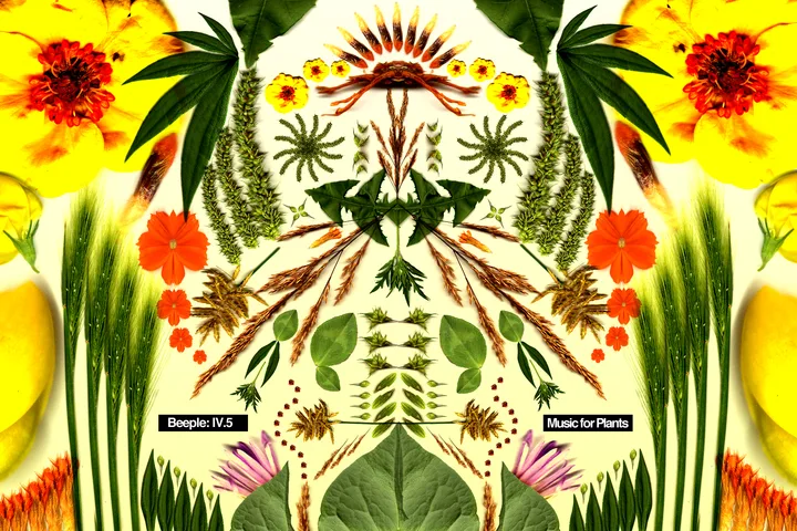 designs 5
