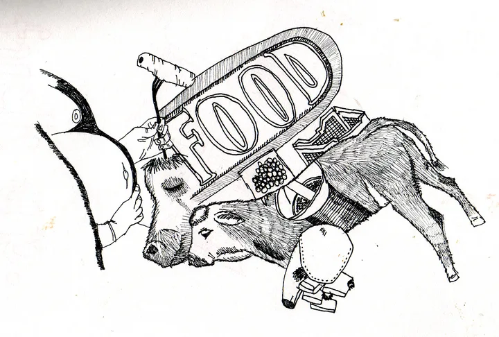 drawings 23