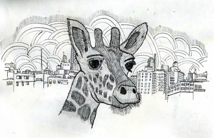 drawings 20